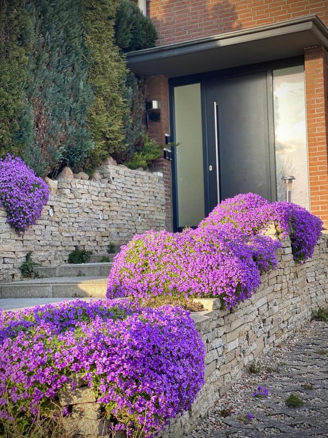 Fewo Seeblick - Familien - Hunde - Strandnah - Ostseeblick - Sauna & Wellness Sierksdorf Exterior foto